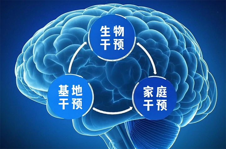 干预方式